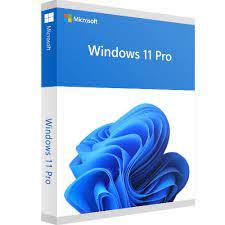 Brand New Microsoft Windows 11 Pro Lifetime License Key - My Store
